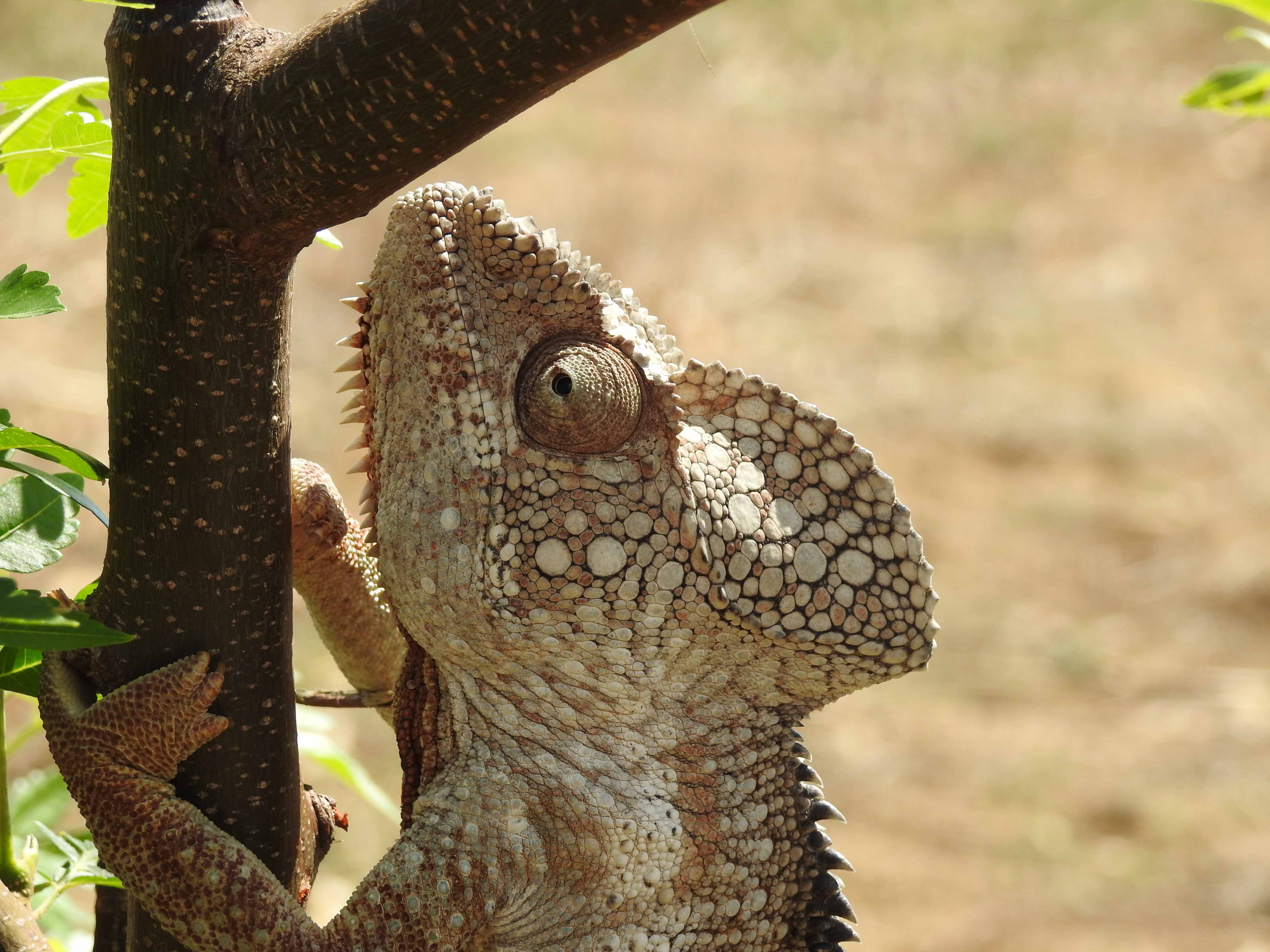 Reizen in Madagascar